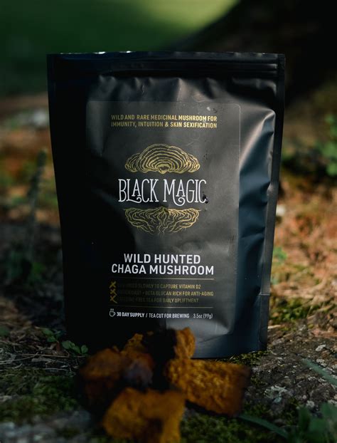 Unveiling the Power of Black Magic Chaga: A Journey into Enchantment and Sorcery